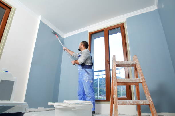 Best Drywall Removal and Disposal  in Lumberton, NC